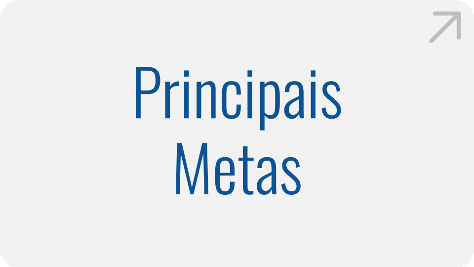 principais-metas.png