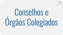 conselhos-e-orgaos-colegiados.png