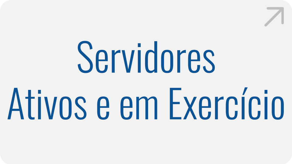 Servidores Ativos e em Exercício