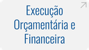 execucao-orcamentaria-e-financeira.png