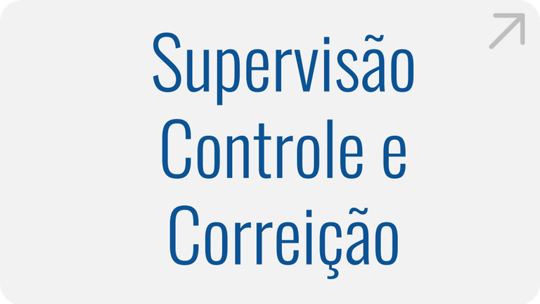 supervisao-controle-e-correicao.png