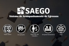 Saego