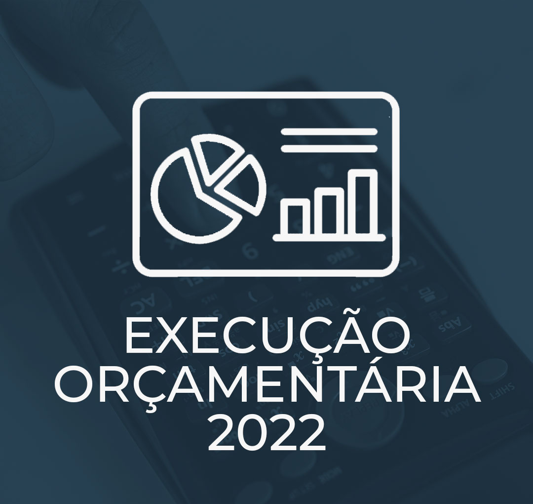 icones-site-exec-orçament-azul-22.jpg