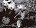 Crivador tocado por uma criança, localizado no lado inferior direito da foto. Retirada do trabalho de FERRETTI; RAMASSOTE; BARROS; CORDEIRO;. COSTA; MENDONÇA; MOTA, 2006)