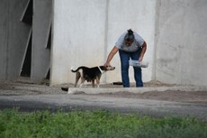 Coordenadora adjunta do projeto Animal Comunitário alimentando animais na UFPB. Foto_Martha Idalina (2020)