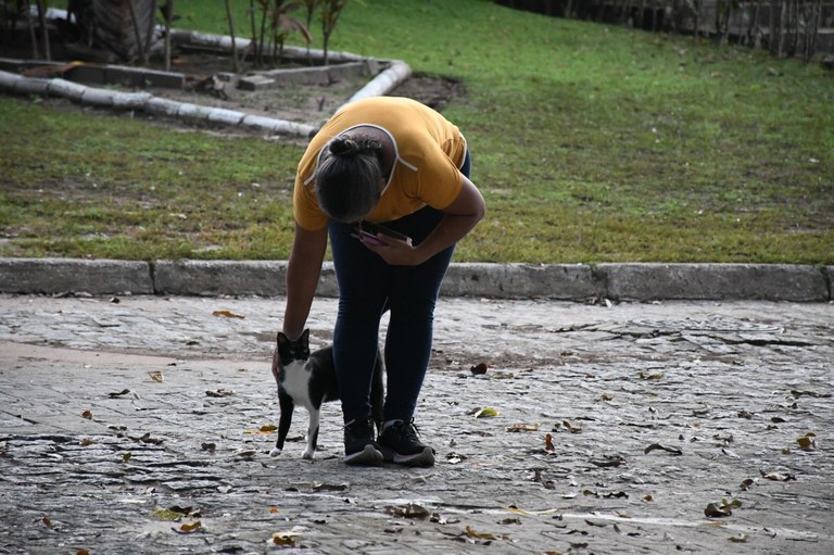 Servidora aposentada Ana Cláudia, ela atua no cuidados animais da UFPB há muitos anos - Projeto Animal Comunitário Foto: Martha Idalina (2020)